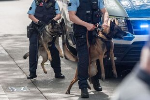 Zu sehen sind zwei Polizeibeamt:innen mit Hunden.
