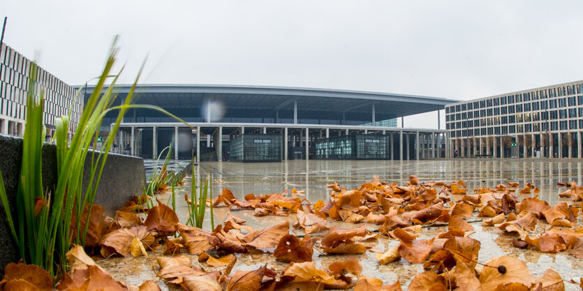 Herbstlaub liegt vor dem leeren Flughafenterminal