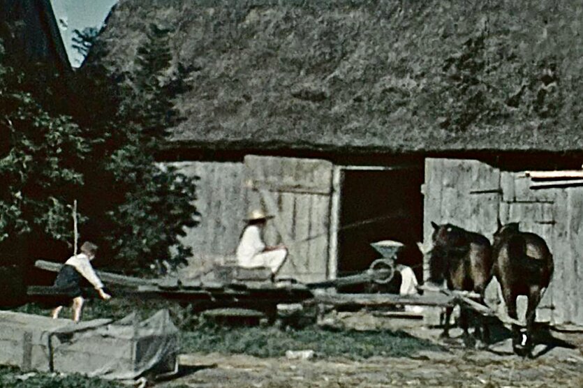 Vor einer Scheune steht ein Gespann mit zwei Pferden. Eine Person sitzt auf dem Bock, eine andere nähert sich von hinten.