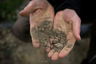 Zwei Hände mit trockener Erde