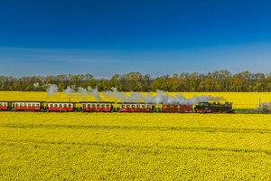 Eine Dampflokomotive zieht eine Bahn zwischen gelben Rapsfeldern und unter blauem Himmel