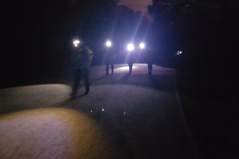Die Mammutmarschierer im Tiergarten