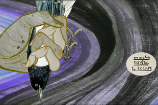 Emma Talbot: "You Are Not the Centre (inside the animal mind)", 2025 (Filmstill). Man sieht eine Hand, die einen Vogel zerquetscht