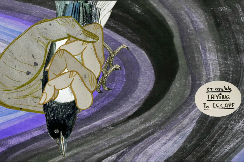 Emma Talbot: "You Are Not the Centre (inside the animal mind)", 2025 (Filmstill). Man sieht eine Hand, die einen Vogel zerquetscht