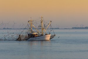 Ein Fischkutter in der Nordsee