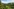 Eine Landschaft voll Regenwald