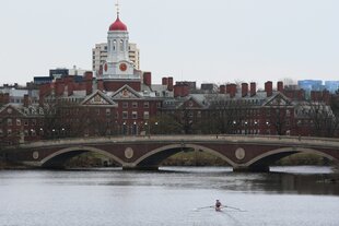 Ein Ruderer rudert den Charles River in der Nähe der Harvard University hinunter