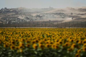 Zerstörte Gebäude im Gazastreifen sind hinter einem Sonnenblumenfeld auf der israelischen Seite der Grenze zum Gazastreifen zu sehen