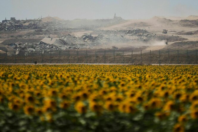 Zerstörte Gebäude im Gazastreifen sind hinter einem Sonnenblumenfeld auf der israelischen Seite der Grenze zum Gazastreifen zu sehen