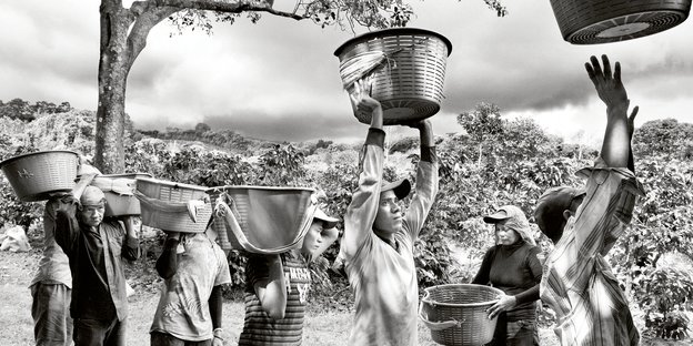 Plantagenarbeiter in Costa Rica