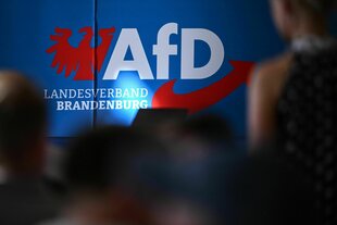 Teilnehmende sitzen in der Auftaktveranstaltung der AfD in Brandenburg zur Landtagswahl vor dem Parteilogo