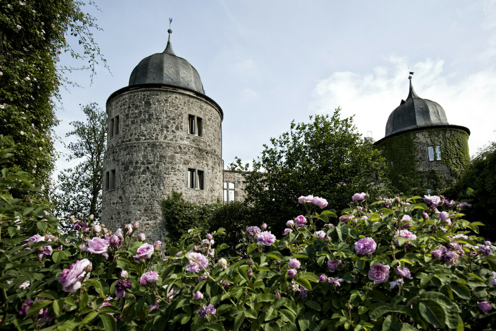 Eine alte Burg umringt von einer blühenden Hecke
