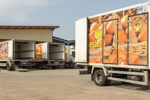 LKWs des Hühnerproduzenten Avicola Ballester stehen auf einem Parkplatz