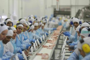 Arbeiter*innen an einem Fließband in der einer JBS-Fleischfabrik