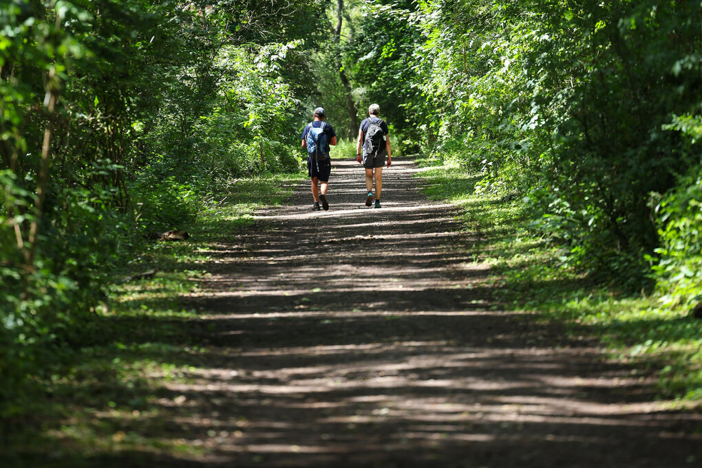 Zwei Menschen spazieren im Wald