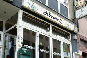 Die Fensterfront der Szenekneipe Hirsch Q in Dortmund