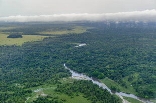 Blick aus der Luft auf den tropischen Regenwald und den Fluss in Odzala-Kokoua National Park