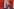 Der kommende Präsident Karol Nawrocki