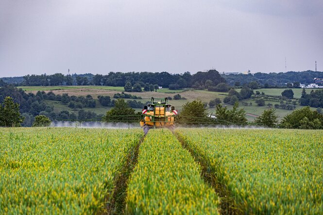 Ein Traktor mit Feldspritze sprüht Pestizide auf ein Feld in Nordrhein-Westfalen