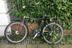 Ein überwuchertes schwarzes Fahrrad mit pinker Gabel lehnt an einem Zaun in Kreuzberg vor dichtem Grün. Efeu und andere Pflanzen ranken sich um die Speichen und das Fahrrad. Das Fahrrad gehörte dem verstorbenen Politiker Christian Ströbele.