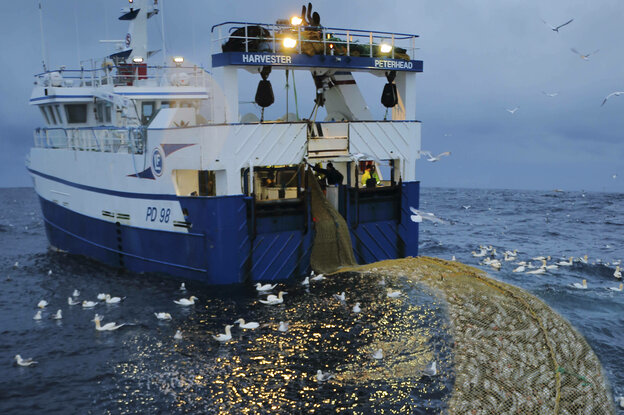 Ein Netz mit Fischen hinter einem Kutter