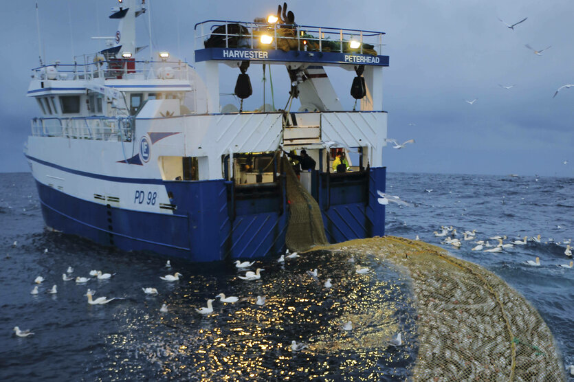 Ein Netz mit Fischen hinter einem Kutter