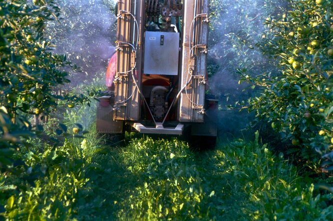 Apfelbaeume werden mit Pestiziden behandelt - ein Traktor fährt zwischen den Baumreihen und sprüht