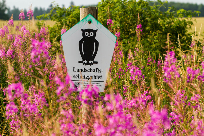 Blühende Landschaft mit Landschaftsschutzgebiets-Hinweisschild