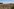 Zu sehen ist ein Feld im Harz. Das Gebiet ist entwaldet und zeugt von Spuren einer Naturkatastrophe. Zu sehen ist ein Feld im Harz. Das Gebiet ist entwaldet und zeugt von Spuren einer Naturkatastrophe.