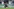 Rodrigues fällt beim Versuch, einem Gegenspieler den Ball abzunehmen