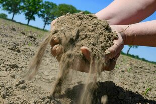 Eine Person zeigt trockenen Ackerboden auf einem Feld