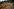 Indigene vom Stamm der Mura zeigen ein abgeholztes Gebiet in nicht gekennzeichnetem indigenen Land im Amazonas-Regenwald bei Humaita