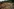 Indigene vom Stamm der Mura zeigen ein abgeholztes Gebiet in nicht gekennzeichnetem indigenen Land im Amazonas-Regenwald bei Humaita