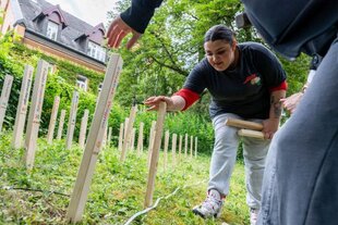 Zu sehen sind Schüler:innen, die mit dem Einpfählen von Holzstelen an die ermordeten Korker Frauen erinnern.