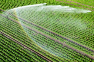 Feld wird bewässert