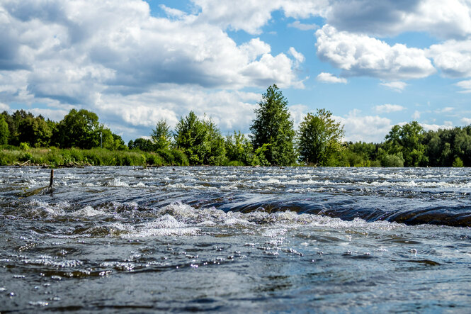 Die Spree bei Dissen. Betonelemente, die im Flussbett der Spree liegen, lassen das Wasser verwirbeln, wodurch die Sauerstoffsättigung ansteigt.