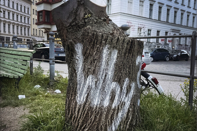 Ein Baumstumpf, auf den das Wort 'Why?' gesprüht wurde.