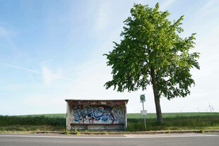 Neben einer einsamen Bushaltestelle steht ein Baum, im Hintergrund Himmel und Feld