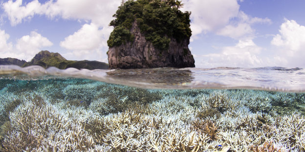 Ausgebleichte Korallen bei Samoa.