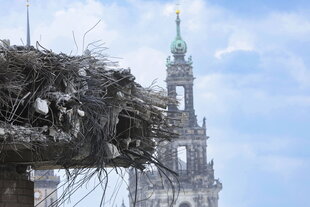 Abbrucharbeiten an der Carolabrücke in Dresden