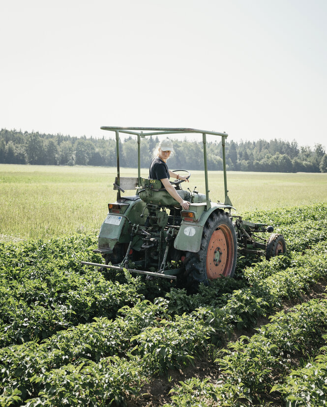 Judith Boulos auf dem Traktor im Kartoffelfeld.