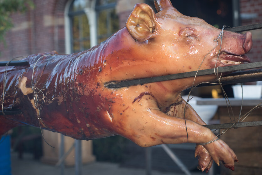 Sapnferkel am Grillspieß