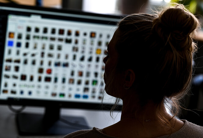 Eine checkt eineFoto-Datenbanka fu einem Computerbildschirm