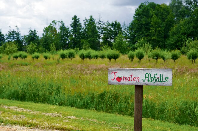 Auf einem Schild an einem Feld steht: "Tomaten-Abfälle"