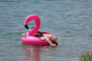 Eine Person schwimmt auf einem aufblasbaren Flamingo auf einem See