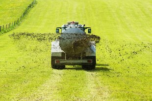 Landwirtschaftliches Fahrzeug verteilt Gülle auf gelb-grünem Feld