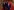 Donald Trump und sein Kabinett im Weißen Haus