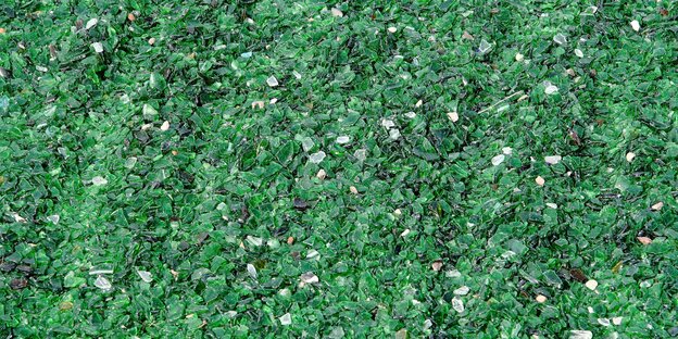 Ein Haufen aus Tausenden kleinen grünen Glasscherben Ein Haufen aus Tausenden kleinen grünen Glasscherben