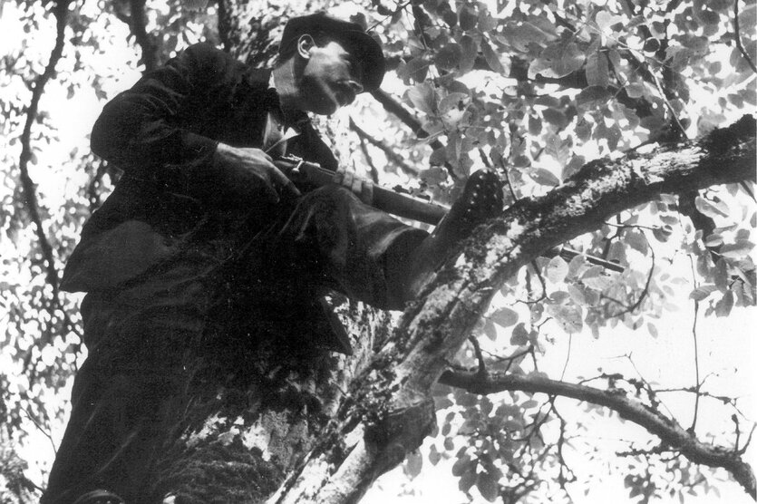 Ein Mann steht mit einem Gewehr in einer Baumkrone