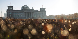 Das Reichstagsgebäude, dazu Herbstlaub auf der Wiese davor.